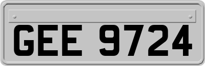 GEE9724