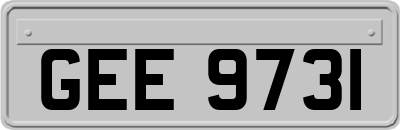 GEE9731