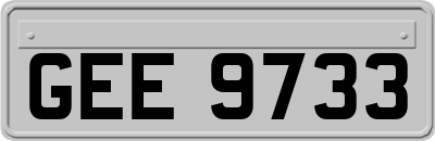 GEE9733