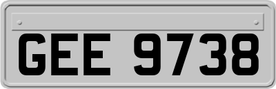 GEE9738