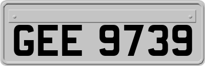 GEE9739