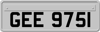 GEE9751