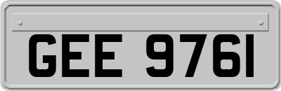 GEE9761