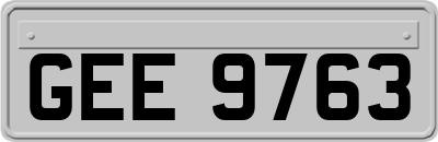 GEE9763