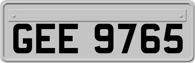 GEE9765