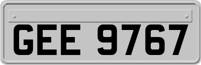 GEE9767
