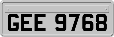 GEE9768