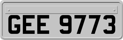 GEE9773
