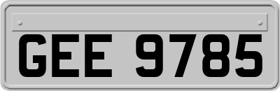 GEE9785