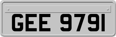 GEE9791