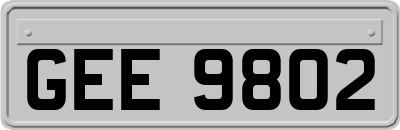 GEE9802