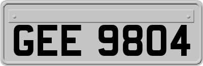 GEE9804
