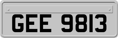 GEE9813