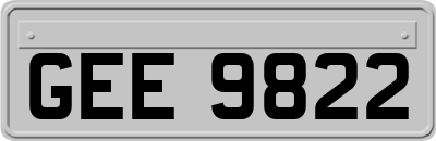 GEE9822