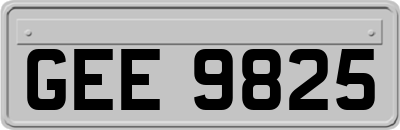 GEE9825