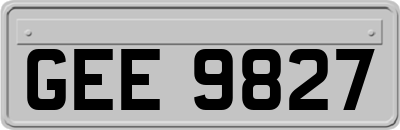 GEE9827
