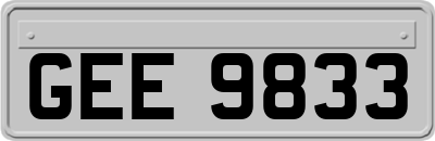 GEE9833