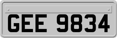 GEE9834