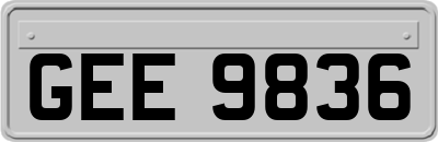 GEE9836