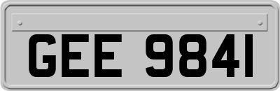 GEE9841