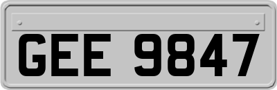 GEE9847