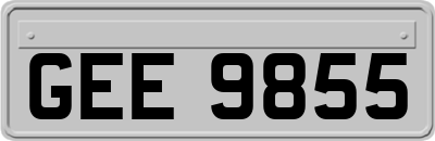 GEE9855