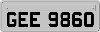 GEE9860