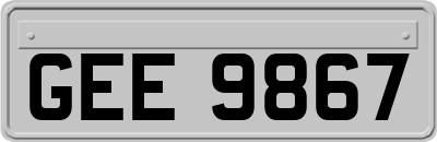 GEE9867