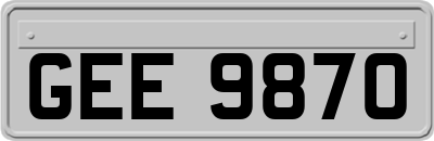 GEE9870