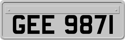 GEE9871