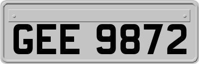 GEE9872