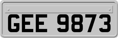 GEE9873