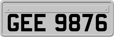 GEE9876
