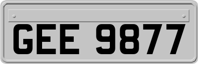 GEE9877