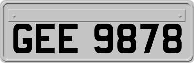 GEE9878