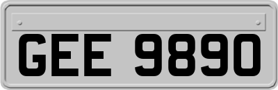 GEE9890