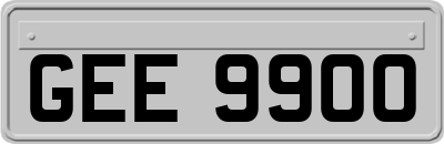 GEE9900