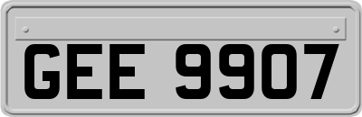 GEE9907