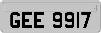 GEE9917