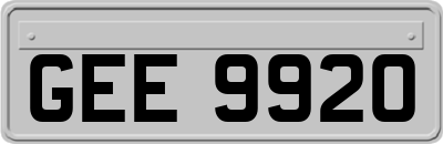 GEE9920