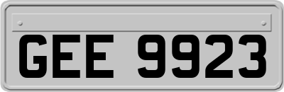 GEE9923