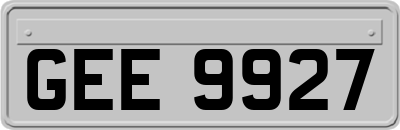 GEE9927