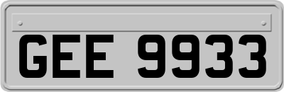 GEE9933