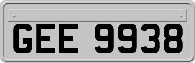 GEE9938