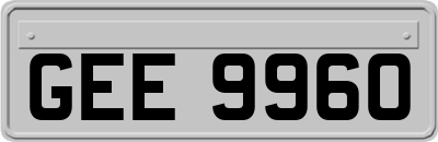 GEE9960