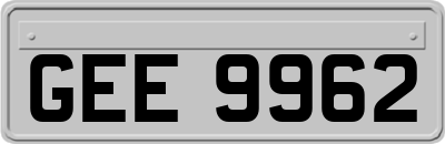 GEE9962