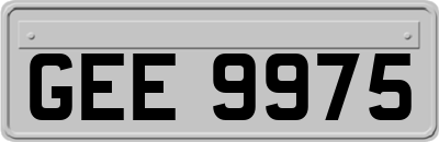 GEE9975