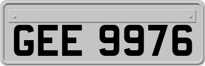 GEE9976