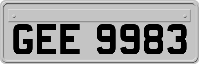 GEE9983