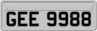 GEE9988